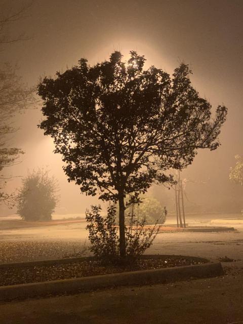 South Lot