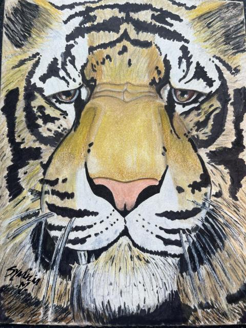 The Tiger’s Glance