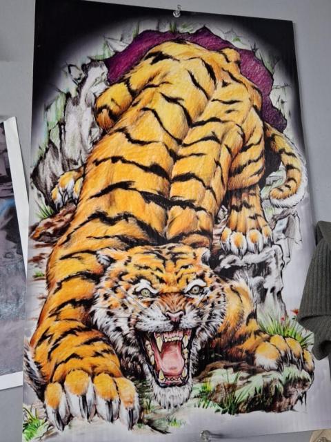 "El Tigre"