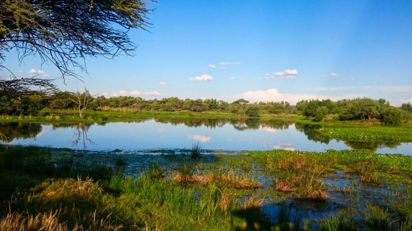 Game Drive