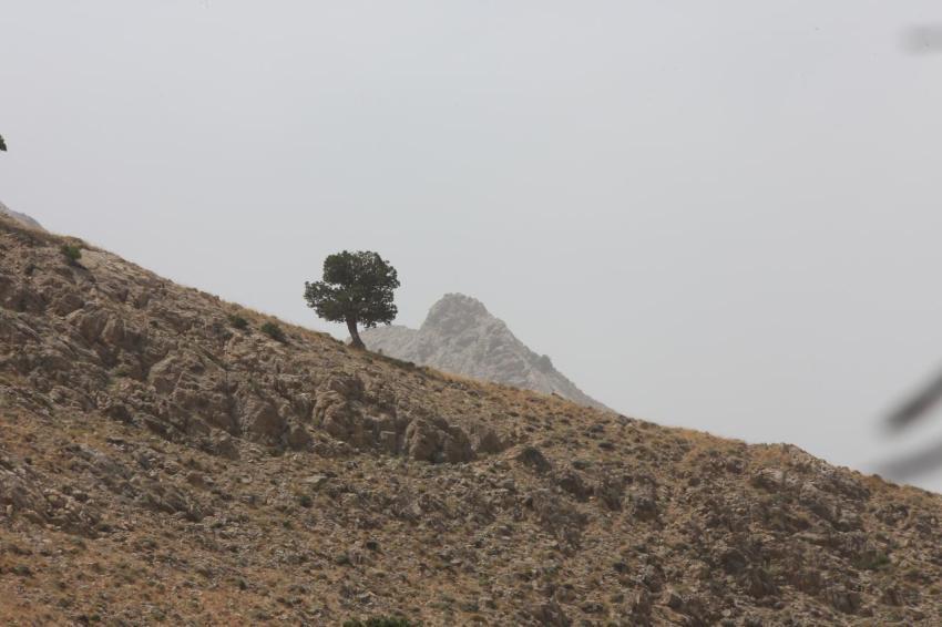 inbound1360528288476739684