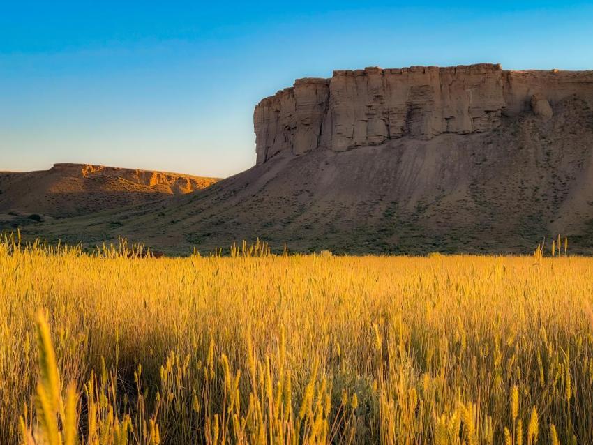 Golden Morning in Kremmling, Colorado