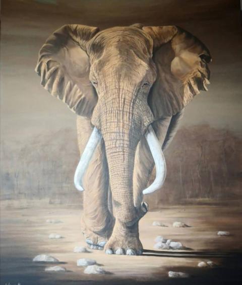 Elephant