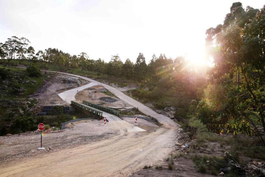 Bridge in the forest