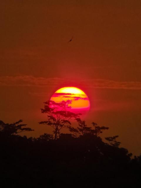 Beuty Sunset