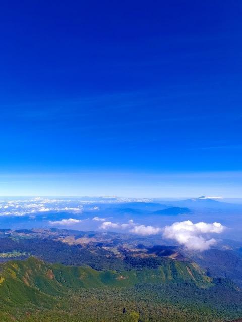 The Horizon
