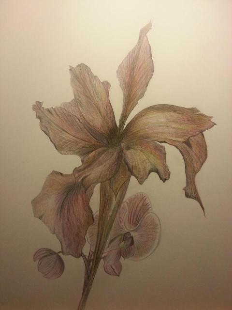 15272130 10154769122169660 8417990553814768327 o