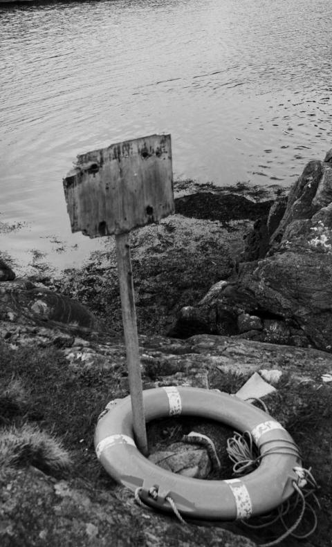 Lifebuoy