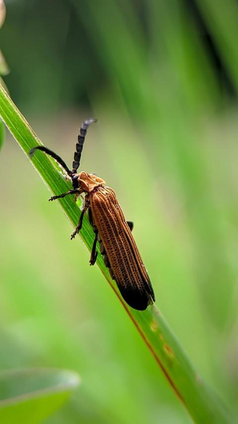 f698bc9e 0da0 427a 8c2b 0ab3d3e9882e 1 all 73827