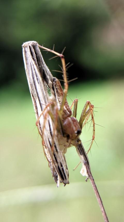 f698bc9e 0da0 427a 8c2b 0ab3d3e9882e 1 all 73756