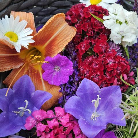 basket of flowers