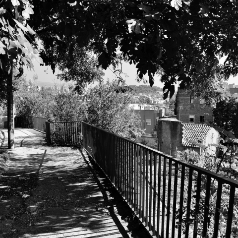 20141005_0013