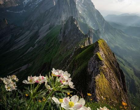 Nature / Landscapes