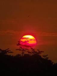 Beuty Sunset