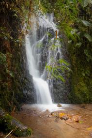 CASCADA