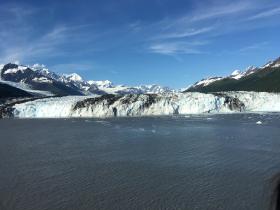 IMG 0277